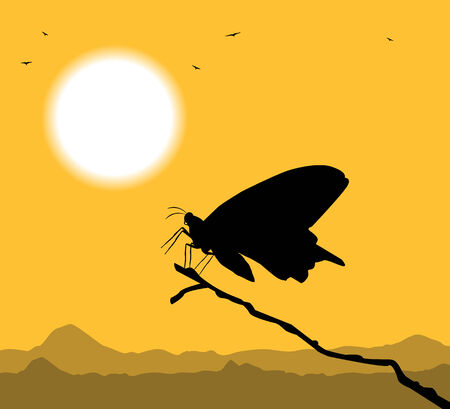 silhouette of butterflyのイラスト素材