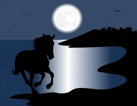 silhouette of the wild horse in the sea in the nightのイラスト素材