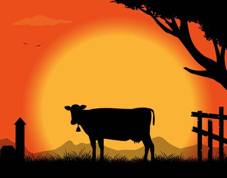 silhouette of the cow in the countryside in the sunsetのイラスト素材