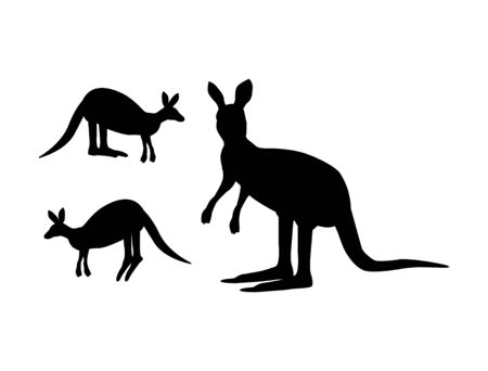 Vector illustration of kangaroo on a white background.のイラスト素材