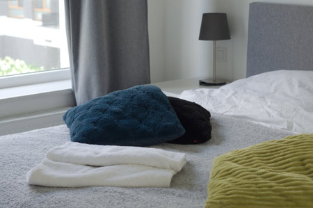 bed with soft pillows. Interior stylish room with big bed. High quality photo