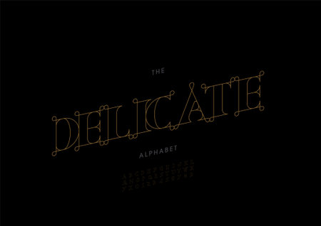 Vector of stylized delicate alphabet and fontのイラスト素材