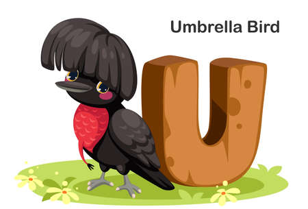 Wooden textured bold font alphabet U, U for Umbrella birdのイラスト素材