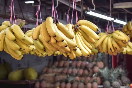 Bananas hanging of the roof in a fruit stand with pineapples and durianの写真素材
