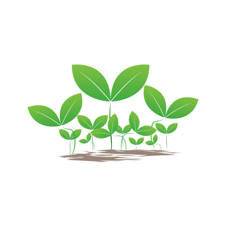 GROUPs of green seed design used in plant logo and farm items template design, ecology green seed icon style, vector and illustration.のイラスト素材