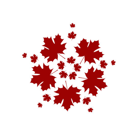 Red maple leaves on white background used in icon and logo vector and illustration templateのイラスト素材