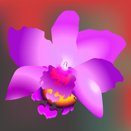 The beautiful orchid flower, vector illustrationのイラスト素材