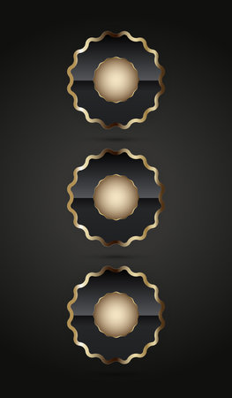 THREE premium quality badge buttons vector,illustration. And  luxury circles shape UI button on dark backgroundのイラスト素材