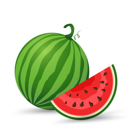 Fresh Watermelon organic fruits with a half sliced piece and juicy watermelon slice vector illustration in flat design isolated on white backgroundのイラスト素材