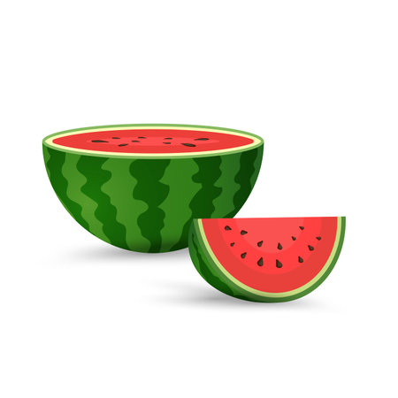 Fresh Watermelon organic fruits with fresh green open watermelon half, slices and triangles. Red watermelon piece with bite. Sliced cocktail water melon fruit vector setsのイラスト素材