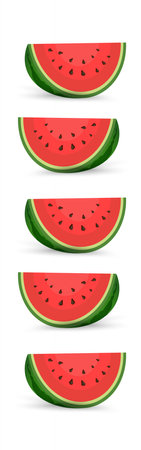 slices and triangles. Red watermelon piece with bite. Sliced cocktail water melon fruit vector sets, Fresh Watermelon organic fruits with fresh green open watermelonsのイラスト素材