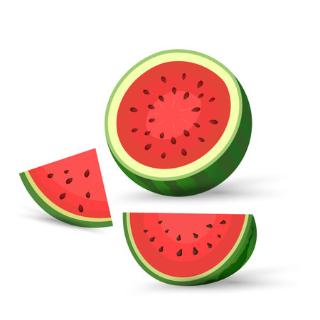Opened cut watermelon, clipart, vector, cartoon fresh green watermelon half, three pieces red watermelon slices. vector, illustration fruitsのイラスト素材
