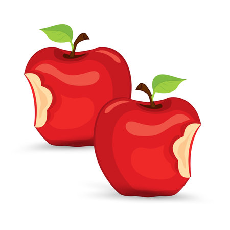 Two Bitten red apple fruits icon vector. Red apple fruit has bit icon on isolated white backgroundのイラスト素材
