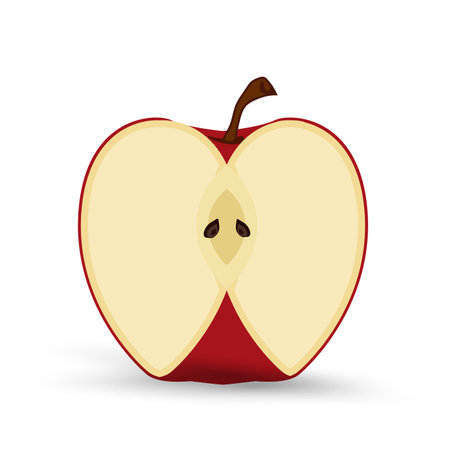 A half cut of apple fruit, One sliced apple vector and cut object, element on isolated white background, healthy fruits conceptのイラスト素材