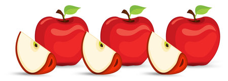 Groups of Apple pieces banner, apples sets cut into pieces of apple banner vector design on isolated white background, vector, illustrationのイラスト素材