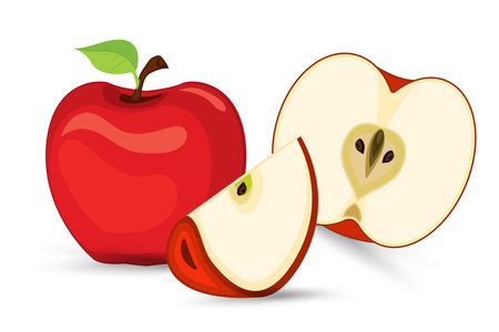 One red apple with a half cut apart and with one cut part of red fruity apple on isolated white background, healthy fruit concept, and Set of apples fruit illustrationのイラスト素材