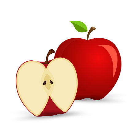 Vector apples part, cut, slice in set on Isolated white background, Group of four apples on a white background, red apples, apple slices, apple slices, sliced applesのイラスト素材