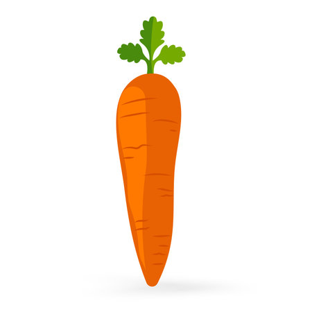 A fruity carrot icon isolated on white background vector illustrationのイラスト素材