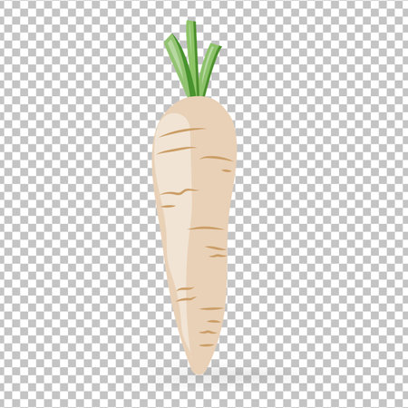 A white carrots icon isolated on white background vector illustrationのイラスト素材