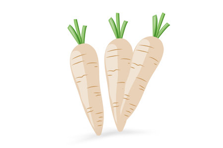 Group of three white carrots icon isolated on white background, vector illustrationのイラスト素材