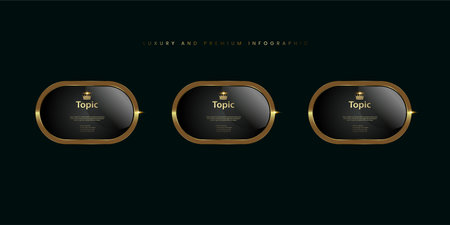 Three premium quality banners with crown, 3 gold black metallic round badge, a Gold shiny button, set of three metallic golden infographics, vector icon on Darkのイラスト素材