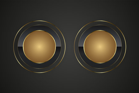 Two rings Premium circle button in round gold frameLuxury circles in realistic shiny metal golden circle ring on isolated on black backgroundのイラスト素材