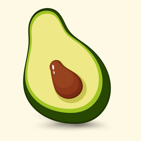 Avocado. Vector illustration. Isolated on a white background.のイラスト素材