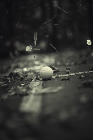 Tennis ball on the tennis court under the falling autumn leavesの写真素材