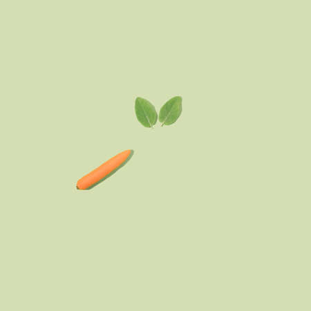 Rabbit ears made of green leaves with one bright carrot. Creative Eastern minimal flat lay.の写真素材