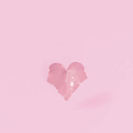Pink heart shape leaf levitating in the air. Beautiful front view minimal scene.の写真素材