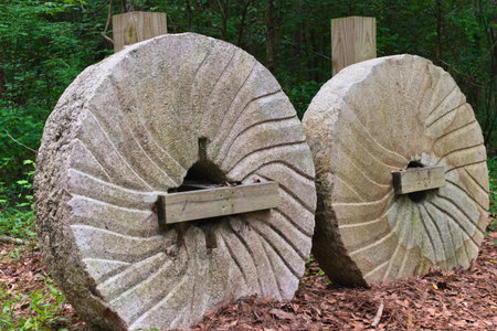 Two historic millstones at Lumber River State Park.