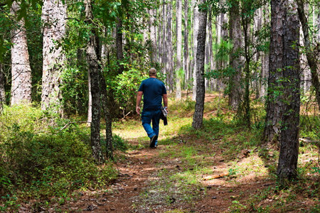 Elizabethtown, NC â August 23, 2025: A hiker enjoys a beautiful day on the trails of Jones Lake State Park.のeditorial素材