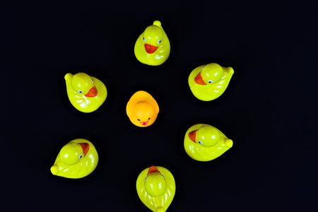 Six yellow rubber ducks in a circle surrounding a single rubber duck photographed against a black background.の写真素材