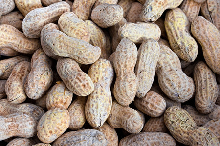 A detailed view of numerous raw peanuts in their shells, showcasing the intricate patterns and...