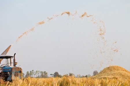 Harvest Vehicle on rice field, Thailandの写真素材