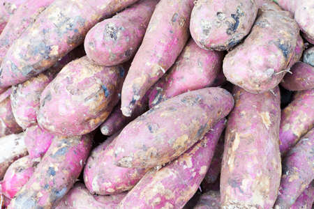 Closeup sweet potato at marketの写真素材