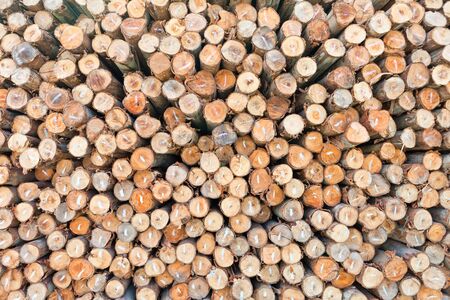 Background of dry chopped firewood logs stacked up on top of each other in a pileの写真素材