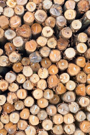 Background of dry chopped firewood logs stacked up on top of each other in a pileの写真素材