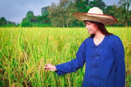 Smiling woman in farmer suit on rice fieldsの写真素材