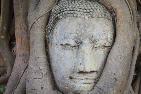 Closeup Tree of buddha statue head, Ayutthaya,Thailandの写真素材