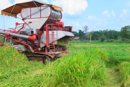 Harvester tractor working a rice fieldの写真素材