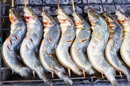Grilled fishの写真素材