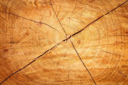 Wooden texture backgroundの写真素材