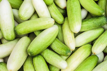 Closeup fresh cucumbersの写真素材