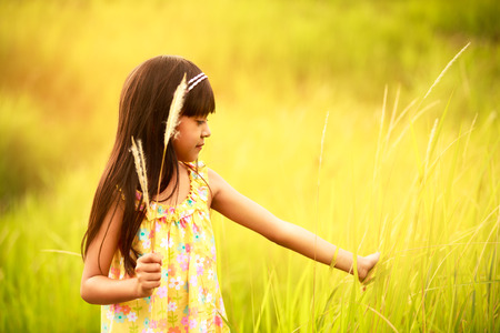 Little girl on meadow with sunsetの写真素材