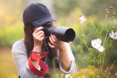 Amateur photographer at flower fieldの写真素材