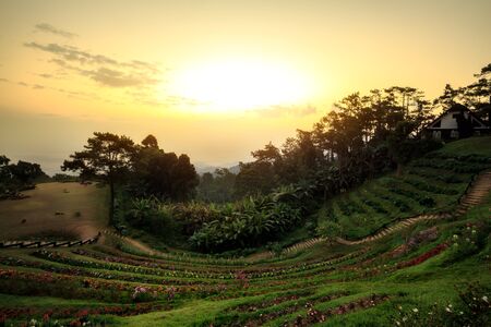 Sunrise at Huai nam dang national park Chiang mai Thailand