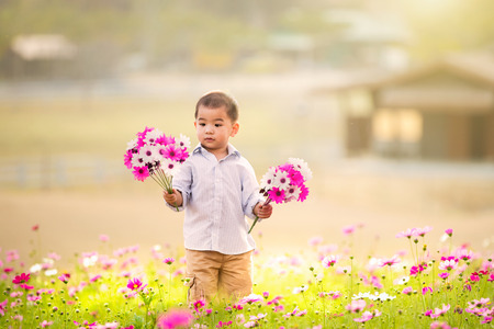 Little boy in the middle of filedの写真素材