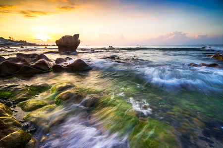 Strange rocks and moss in the morning at Co Thach beach tuy phong, Binh thuan province Vietnamの写真素材