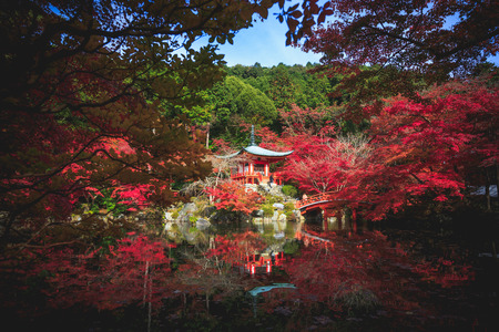 Autumn park in Daigoji Temple, Kyoto Japanの写真素材